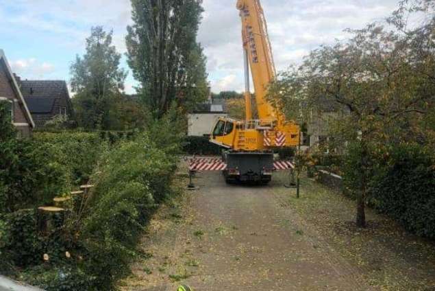 boom verwijderen cuijk hap herpen 1
