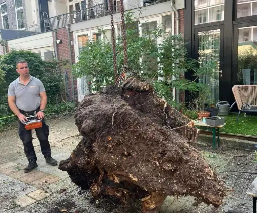 images/0000nieuws/2023/12-strom-boom-amsterdam/omgevallen-strom-boom-kapen-amsterdam-storm-polly.-hoveniers-bedrijf7-510x424-671