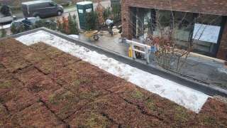 images/0000nieuws/2023/3-pim-noodermeer-sedum-dak/sedum-dak-groene-daken-amstelveen-amsterdam-2-320x180-4f0