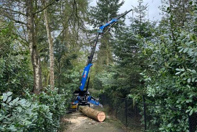 verwijderen bomen Eindhoven stronken weg frezen opruimen bomen in achtertuin