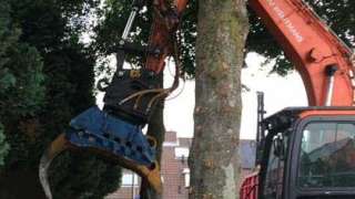 images/0000nieuws/eindhoven-schutting-plaatsen/haag-verwijderen-boom-kappen-schutting-plaatsen-eindhoven-stronk-frezen-320x180-c24