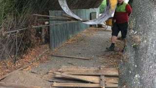 images/0000nieuws/eindhoven-schutting-plaatsen/haag-verwijderen-boom-kappen-schutting-plaatsen-eindhoven-stronk-rooien-helmond-1-320x180-c24