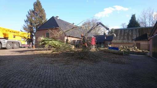 images/001-tuinaanleg-ettenleur/31-maart-bomen-rooien/strom-bomen-opruimen-Tilburg-510x287-3ad