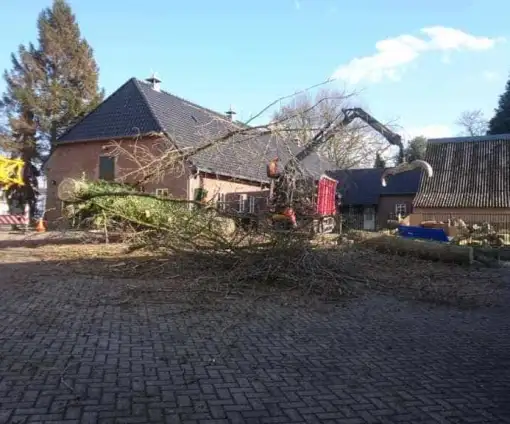 images/001-tuinaanleg-ettenleur/31-maart-bomen-rooien/strom-bomen-opruimen-Tilburg-510x424-fda