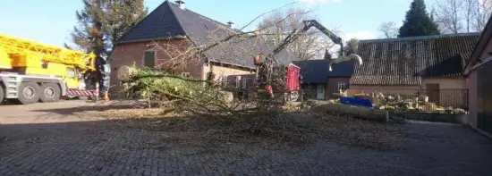 images/001-tuinaanleg-ettenleur/31-maart-bomen-rooien/strom-bomen-opruimen-Tilburg-550x197-b9b