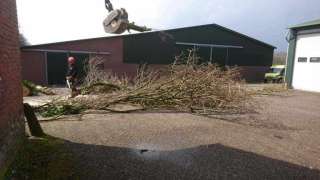images/001-tuinaanleg-ettenleur/31-maart-bomen-rooien/verwijderen-boom-in-rosmalen-320x180-f06