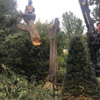 images/001-tuinaanleg-ettenleur/4-10-meersen-boom-kappen/bomen-rooien-meersen-200x200-945