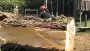 images/001-tuinaanleg-ettenleur/8-augustus-boom-kap-neerijnen/boom-verwijderen-zatlbommel-90x51-8c0