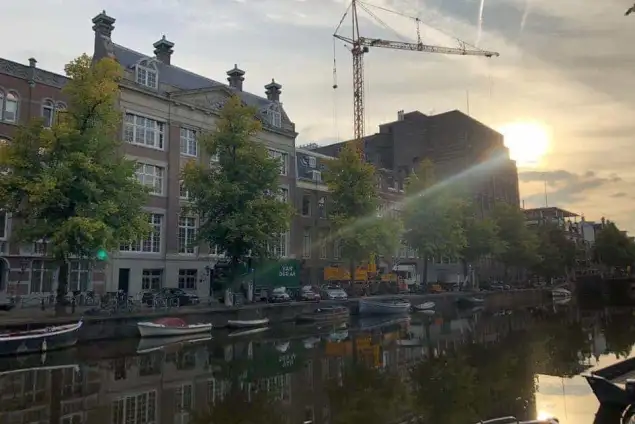 images/001-tuinaanleg-ettenleur/amsterdam-beuken-boom-kappen/amsterdam-bomen-kappen-aan-de-grachen-gordel-welk-bedrijf-kan-dat-635x424-00d
