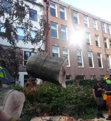 images/001-tuinaanleg-ettenleur/amsterdam-beuken-boom-kappen/rooien-en-verwijderen-van-omgevalen-bomen-in-centrum-amsterdam-aan-de-grachtengordel-390x424-7ca