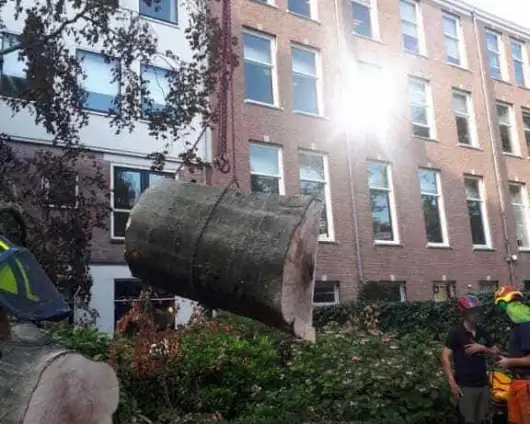 images/001-tuinaanleg-ettenleur/amsterdam-beuken-boom-kappen/rooien-en-verwijderen-van-omgevalen-bomen-in-centrum-amsterdam-aan-de-grachtengordel-530x424-285