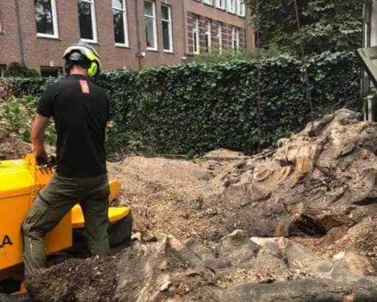images/001-tuinaanleg-ettenleur/amsterdam-beuken-boom-kappen/storm-boom-kappen-in-amsterdam-keizersgracht-stronk-frezen-530x424-285
