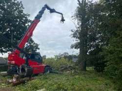 Bomen kappen Lage Zwaluwe
