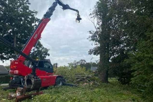 bomen rooien deventer populieren hoveniersbedrijf