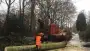 images/001-tuinaanleg-ettenleur/ede/Ede-bomen-rooien--Boomklimmer10-90x51-0a2