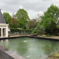 images/001-tuinaanleg-ettenleur/koivijver/zwemvijver-maken-ervaring-200x200-f43