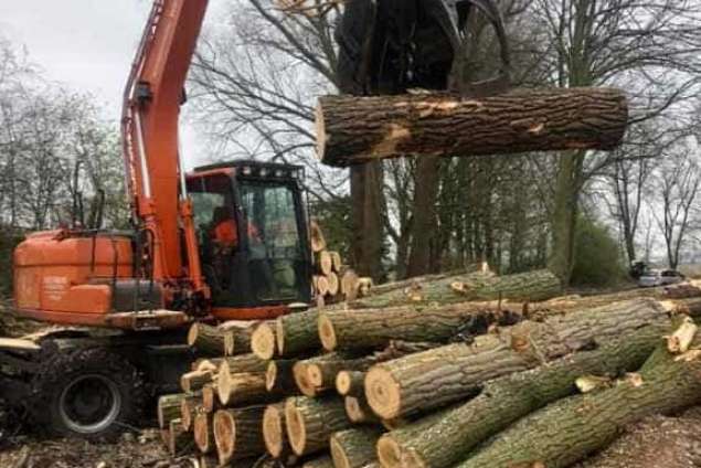 bomen rooien