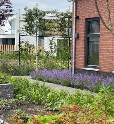 images/001-tuinaanleg-ettenleur/rene-molenaar/mooie-tuinen-voorbeelden-tilburg-lavendul-390x424-576