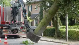 images/001-tuinaanleg-ettenleur/rotterdam-boom-kappen/1-boom-verwijderen-mierlo-257x145-7f6