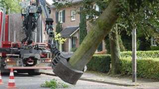 images/001-tuinaanleg-ettenleur/rotterdam-boom-kappen/1-boom-verwijderen-mierlo-320x180-fea
