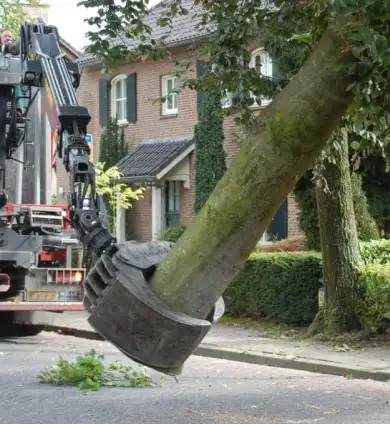 images/001-tuinaanleg-ettenleur/rotterdam-boom-kappen/1-boom-verwijderen-mierlo-390x424-93a