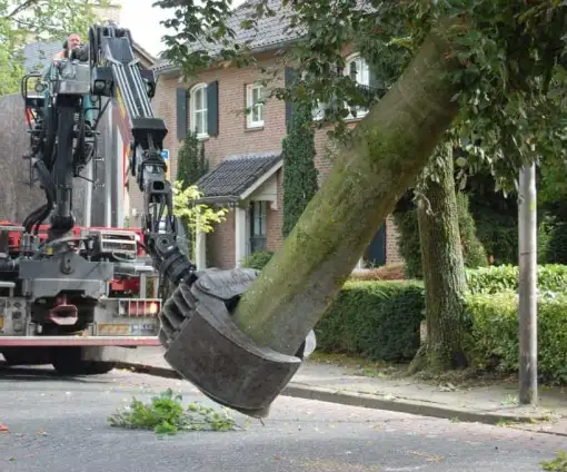 images/001-tuinaanleg-ettenleur/rotterdam-boom-kappen/1-boom-verwijderen-mierlo-510x424-bfc