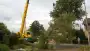 images/001-tuinaanleg-ettenleur/rotterdam-boom-kappen/10-bomen-zagen-mierlo-90x51-355