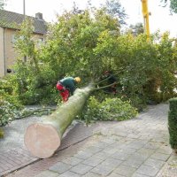 images/001-tuinaanleg-ettenleur/rotterdam-boom-kappen/3-boom-verwijderen-eindhoven-200x200-f45