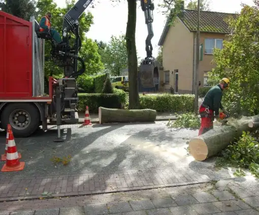 images/001-tuinaanleg-ettenleur/rotterdam-boom-kappen/6-verwijderen-bomen-510x424-bfc
