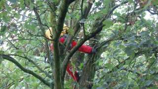 images/001-tuinaanleg-ettenleur/rotterdam-boom-kappen/9-boom-verwijderen(1)-320x180-fea