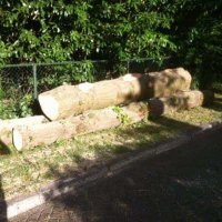 images/001-tuinaanleg-ettenleur/rotterdam-boom-kappen/bomen-verwijderen-Gouda-200x200-f45