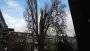 images/001-tuinaanleg-ettenleur/rotterdam-boom-kappen/rotterdam-boom-kappen-zonder-vergunning-90x51-355