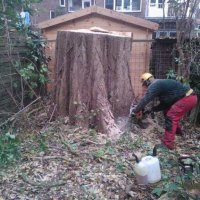 images/001-tuinaanleg-ettenleur/rotterdam-boom-kappen/rotterdam-hoe-haal-ik-een-boom-weg-200x200-f45