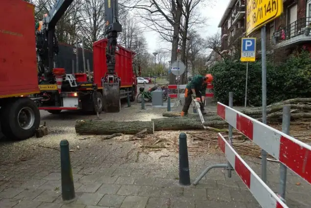 images/001-tuinaanleg-ettenleur/rotterdam-boom-kappen/rotterdam-verwijderen-van-een-italiaanse-populier-635x424-762