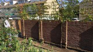 tuin muur metselen metselaar tuinklus breda