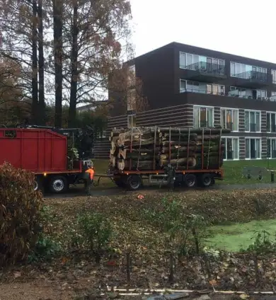 images/001-tuinaanleg-ettenleur/zutphen/12-rooienen-kappen-van-bomen-zutphen-390x424-e4e