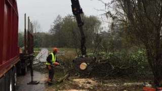 images/001-tuinaanleg-ettenleur/zutphen/5-boom-verwijderen-zutphen-populier-320x180-5ac