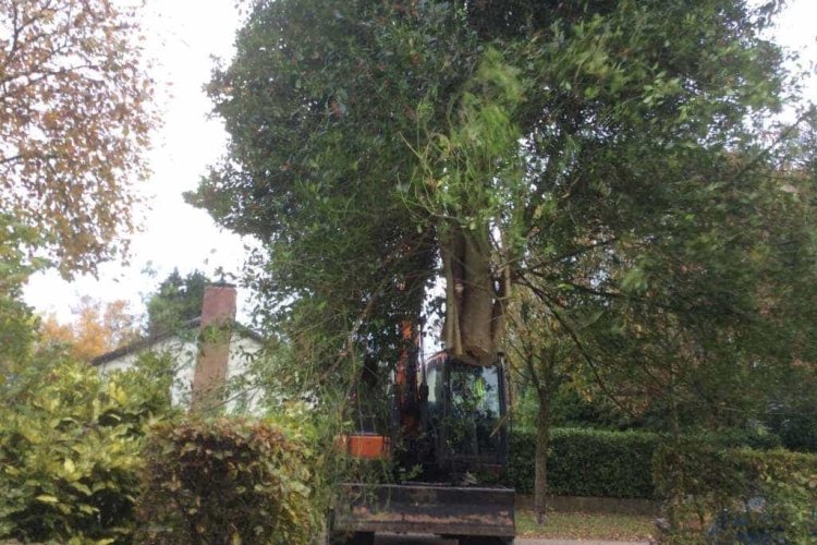 images/001-tuinaanleg-ettenleur/zutphen/perceel-leeg-ruimen-Leersum(1)-750x500-b56