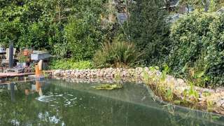 zwemvijver aanleggen Herpen Breda Oisterwijk Eindhoven zwemgedeelte 800x400 met natuurlijk look filterinstalatie lave en oase 