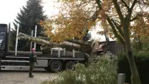 images/006 berkenboom kappen/bomen rooien bomen kappen bomen snoeien in etteleur-210x119-172