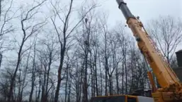 images/019sluishill/bomen rooien en kappen in tolen-257x145-4f2