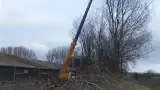 images/019sluishill/bomen rooien en kappen-160x90-be2