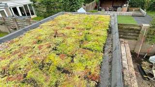 images/deurne-hof-tuinoverkapping/sedum-dak-op-tuioverkapping-tilburg-320x180-21e