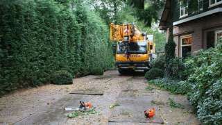 het leggen van 18 meter stalen oprijplaten voor het opstellen van een telescoopkraan voor het rooien van dennenbomen mastbomen in vught