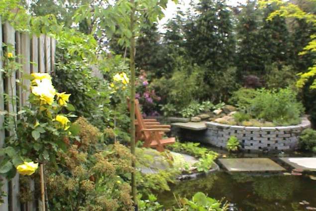 gele stamroos met vaste planten, betaalbare hovenier, tuinontwerp ,heldere lijnen, hovenier tilburg vught breda eindhoven 