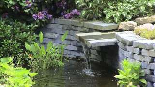 strakke waterval ,tuinontwerp tilburg ,heldere vijver, nederland oase pomp natulis 2500liter met 
